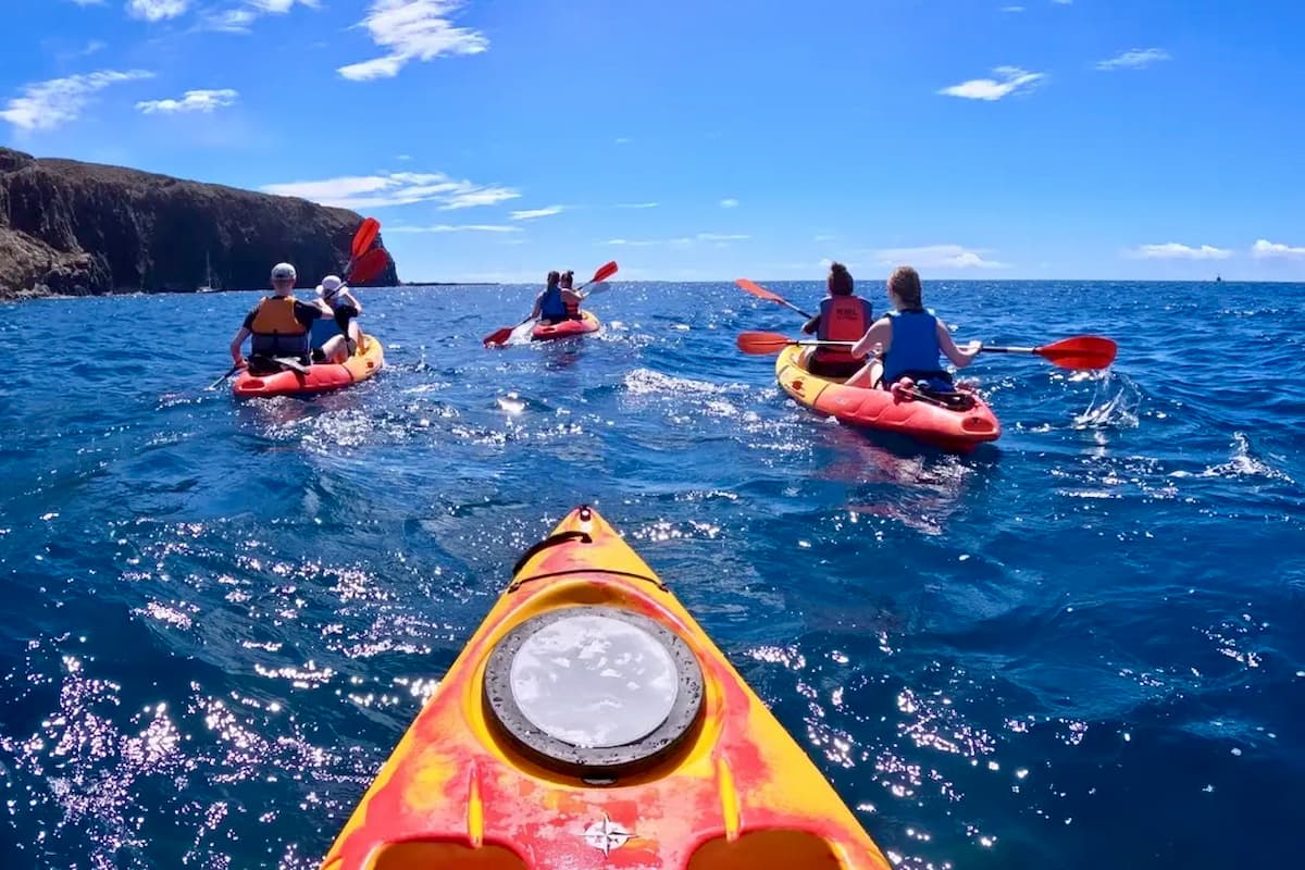 Kayak + Snorkel Tour in Christians 🐬🤿🚣‍♂️