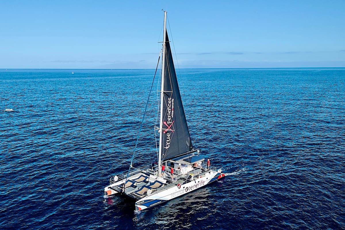 Excursión de 3 horas en Eco Catamarán con catering y bebidas ¡Navega, descubre y disfruta! 🐋⛵️